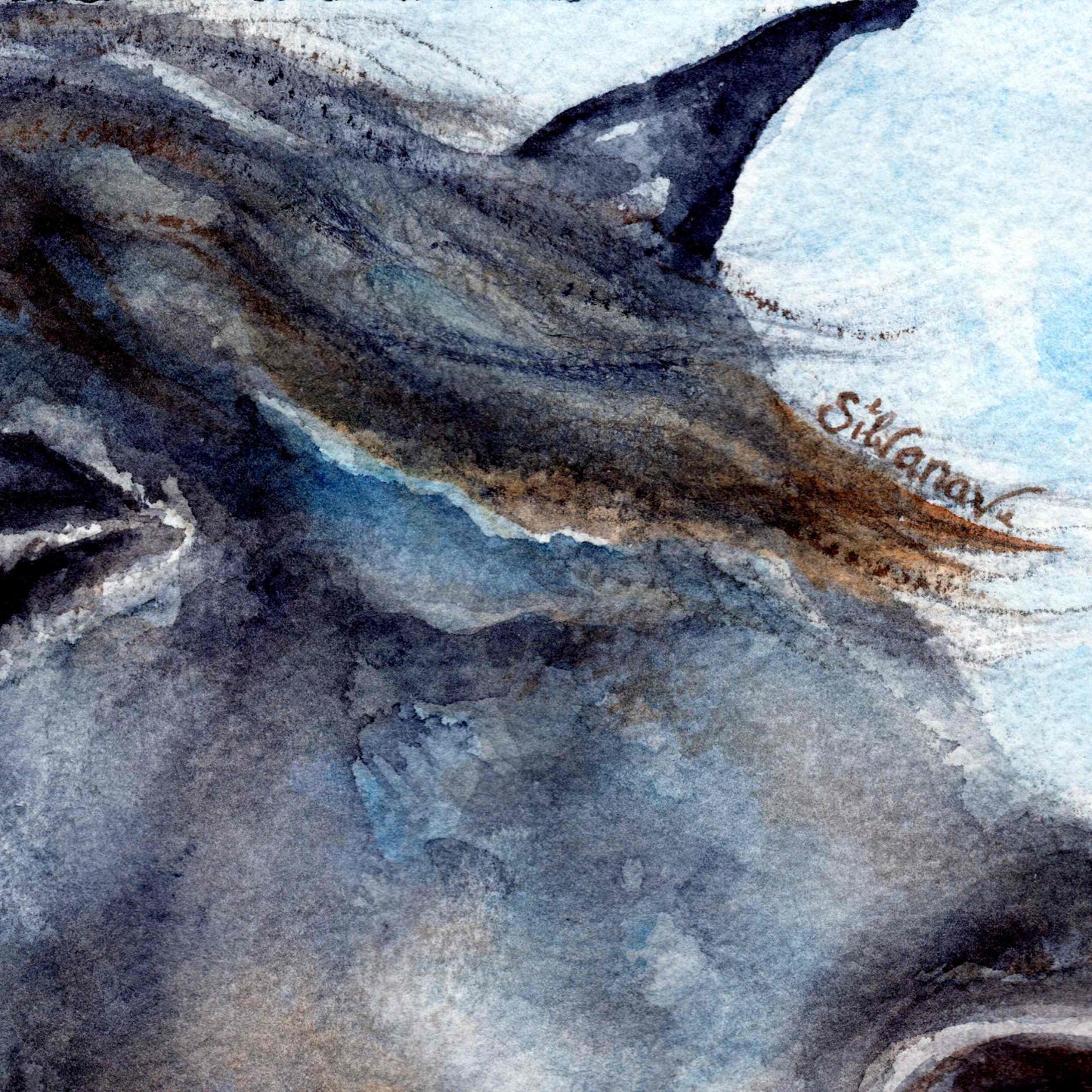 Detail of the horse's eye and manes on its forehead from the original watercolor painting Horse Voice, with the artist's signature integrated into the composition, by Silvana Varriale of VARsee Art.