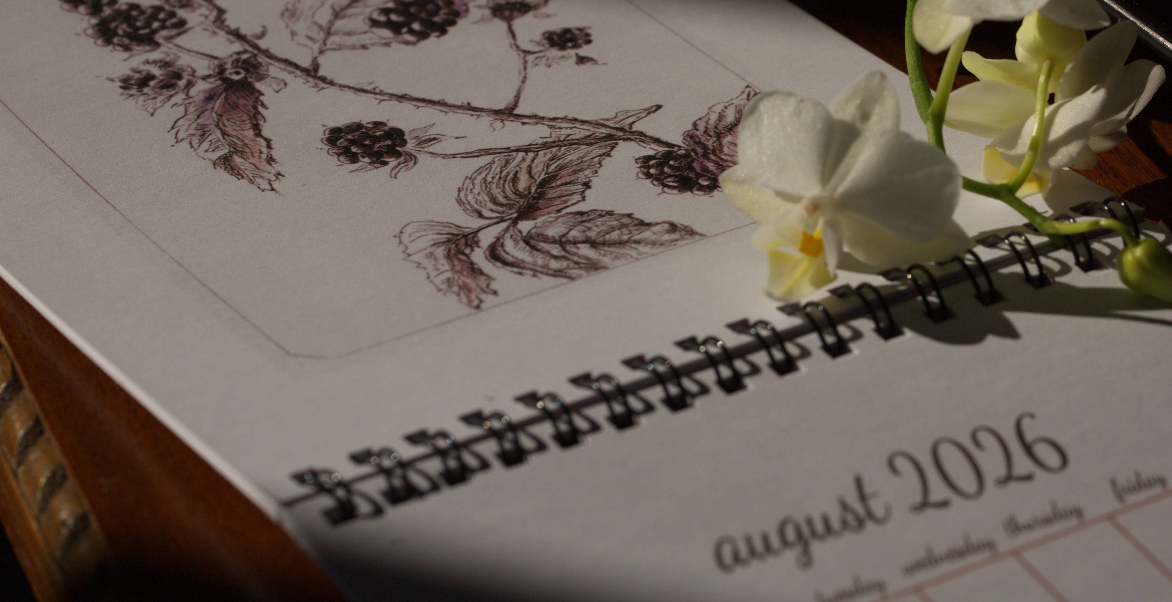 Close-up of a botanical art wall calendar open on a table to August 2026, featuring a detailed monochromatic ink drawing of blackberries, with fresh white and yellow orchids placed beside it.