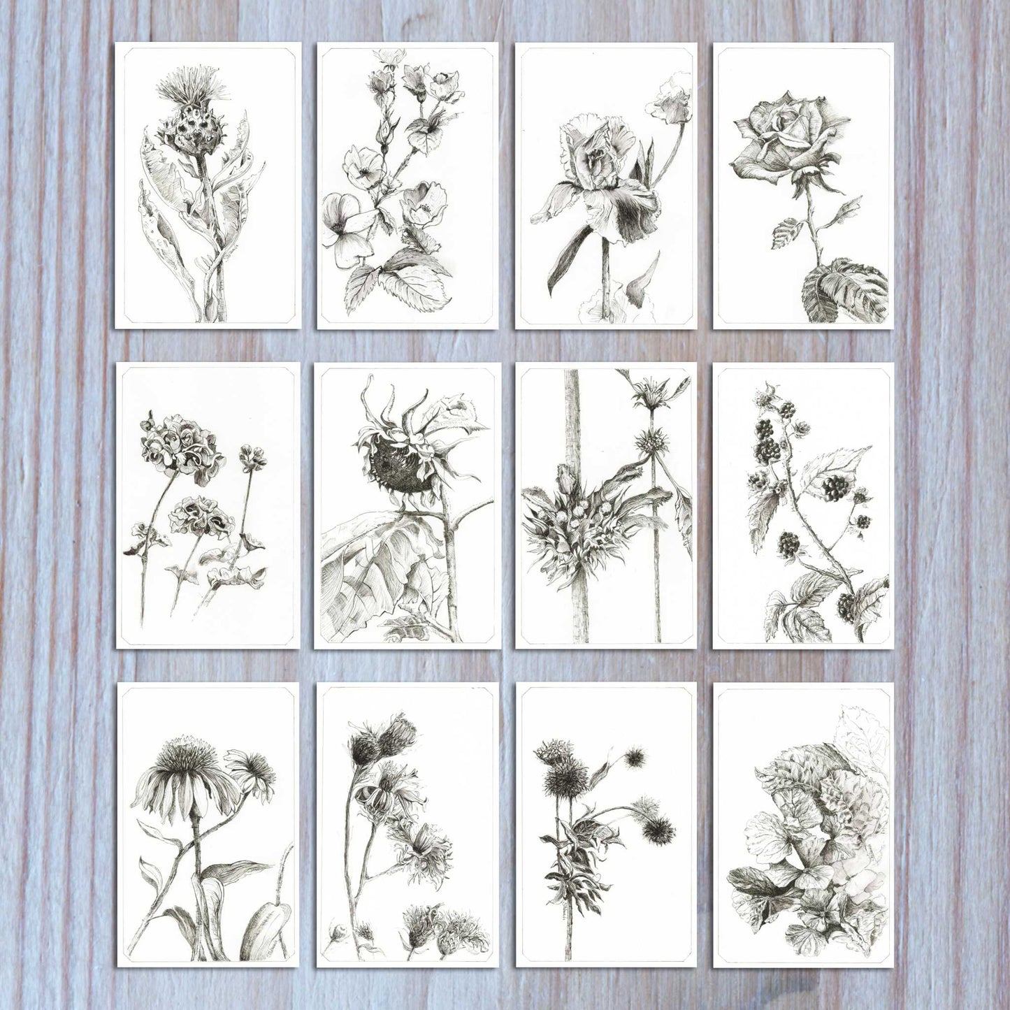 2026 Inked Woods wall calendar 12 original ink designs displayed flat to show all monthly illustrations.