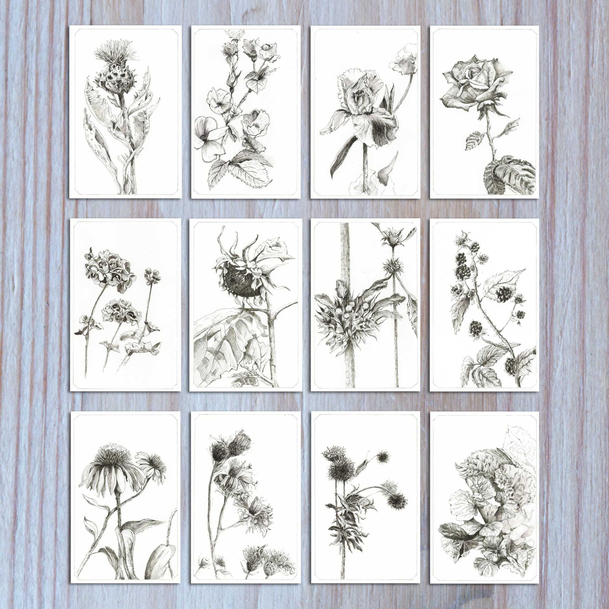 2026 Inked Woods wall calendar 12 original ink designs displayed flat to show all monthly illustrations.