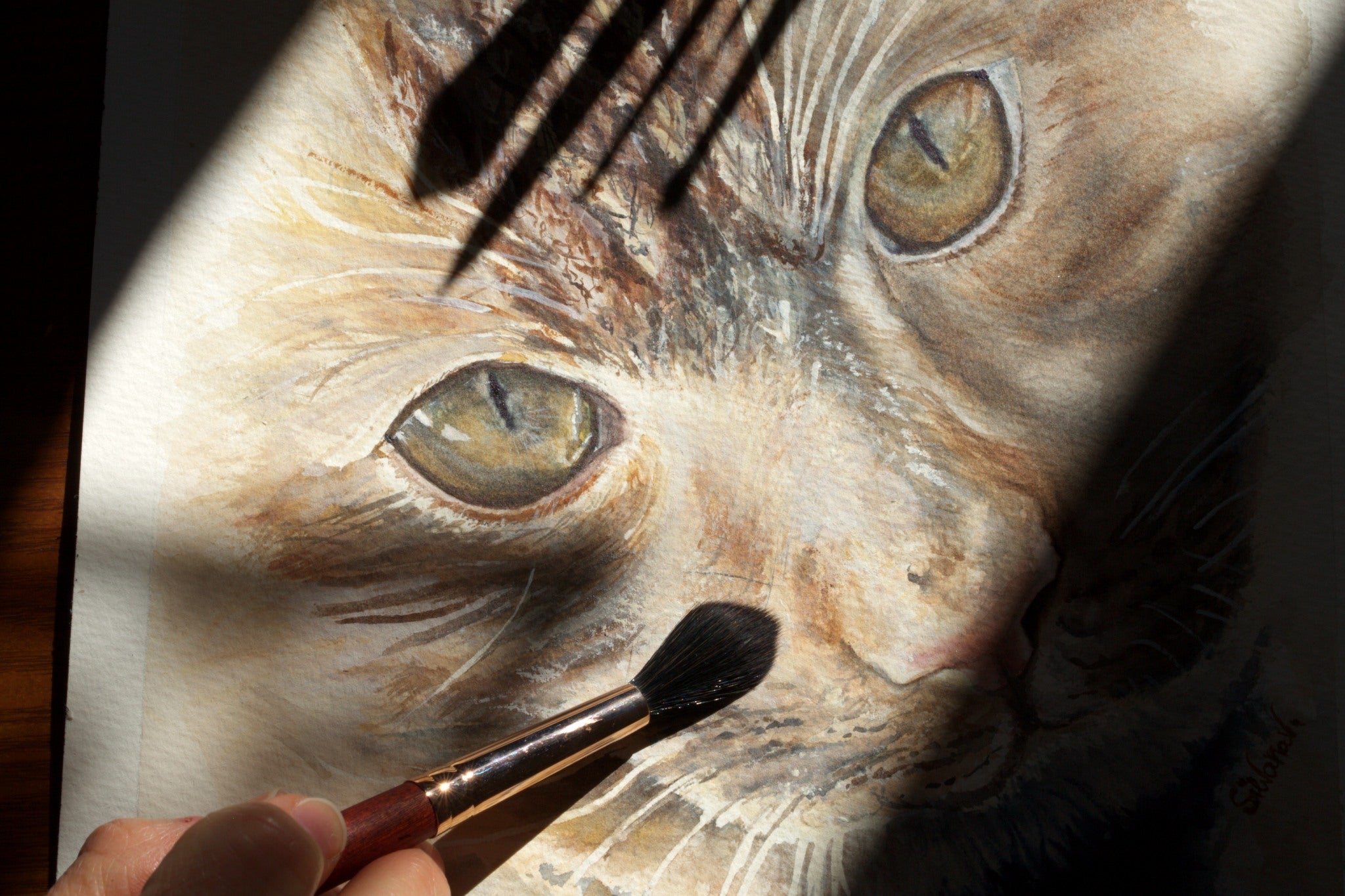 Artist Silvana Varriale painting a cat watercolor portrait with a red-handled brush, a ray of sunlight illuminating the work with the paintbrush casting its shadow across the paper.