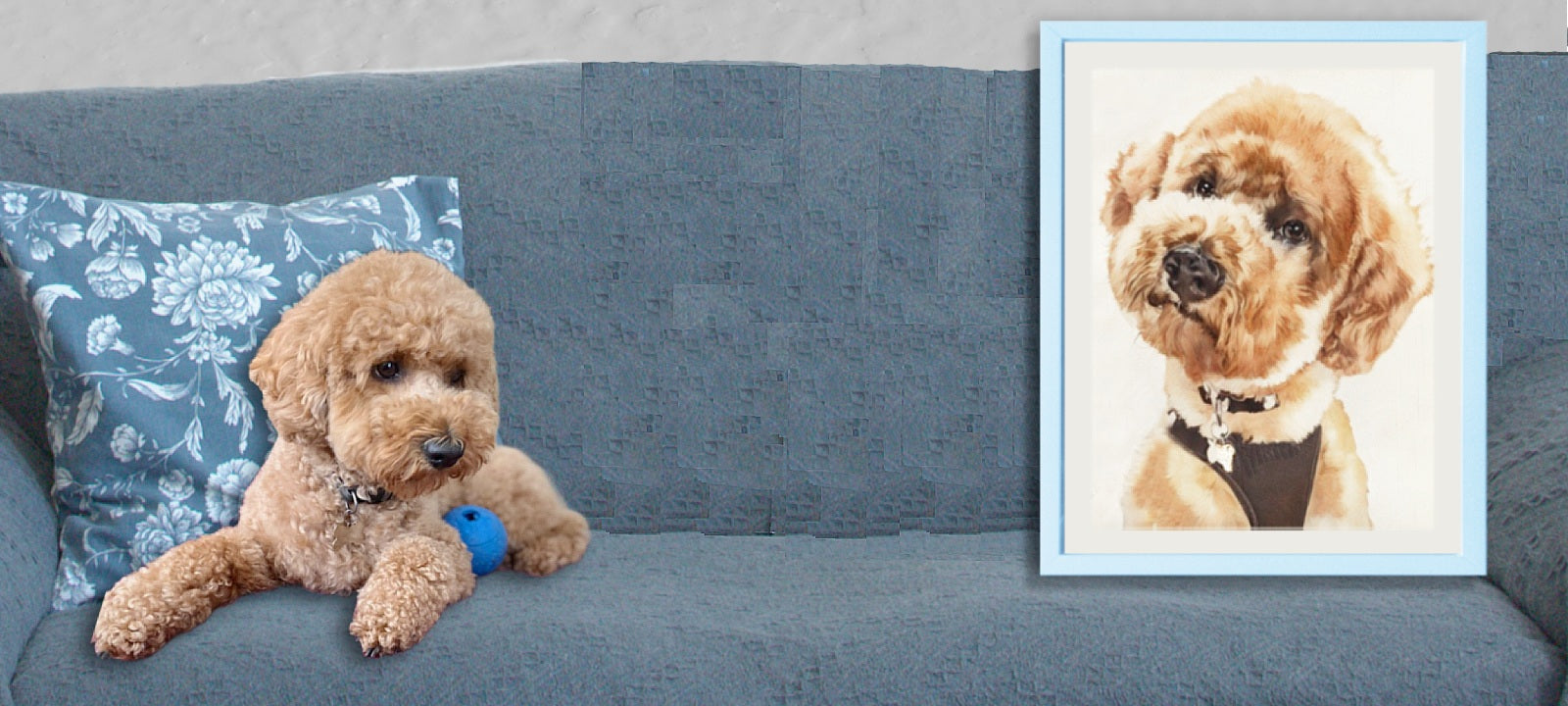 Watercolor pet portrait of a poodle dog displayed in a frame on a couch beside the real dog, also on the couch.