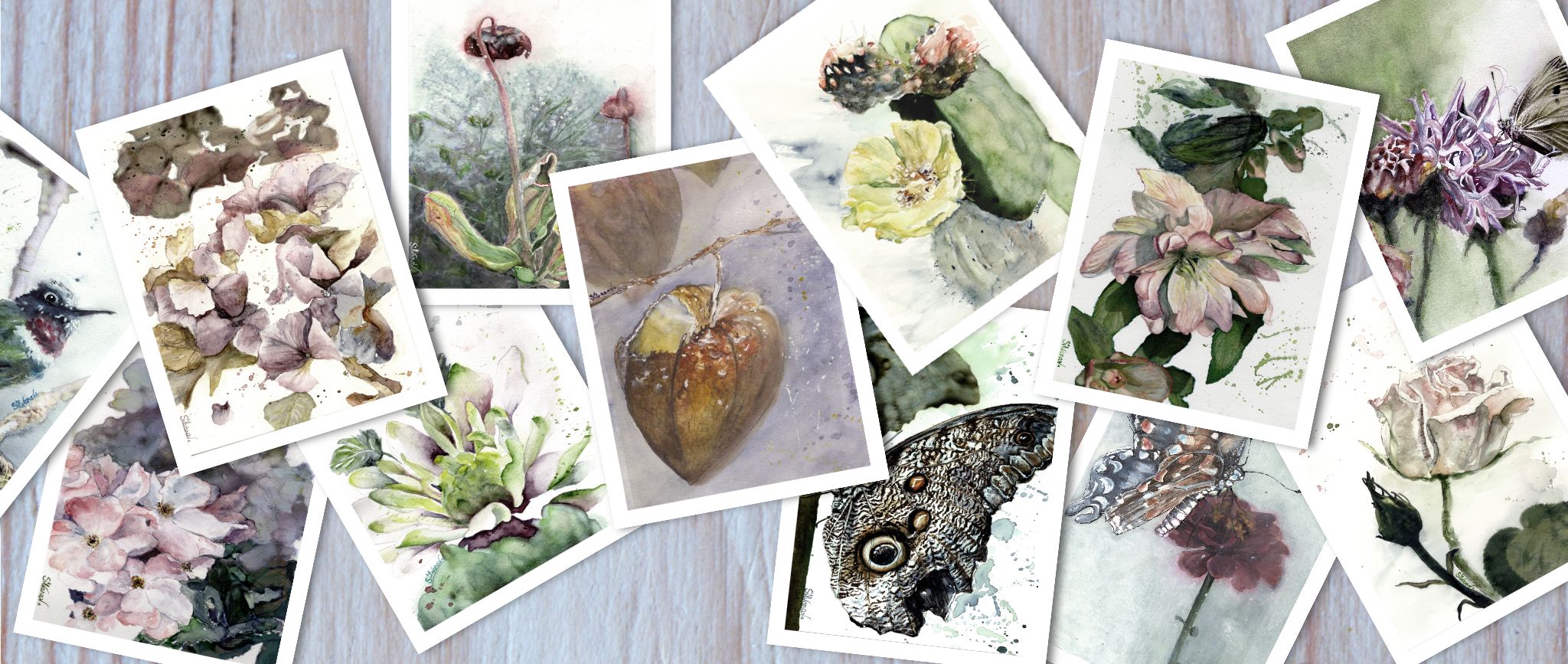 Assorted original watercolor art greeting cards fanned out, rectangular collection displayed as hero image.