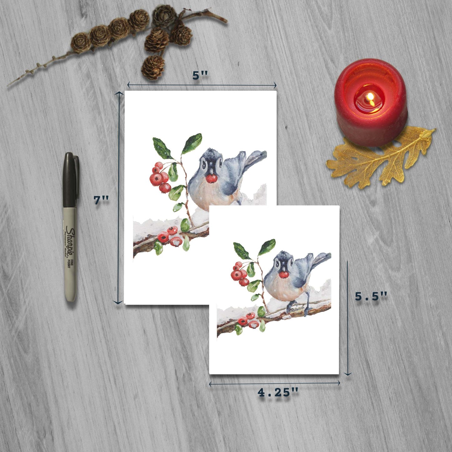 Blue jay bird eating berries watercolor art greeting cards in small and large sizes with marker for scale.