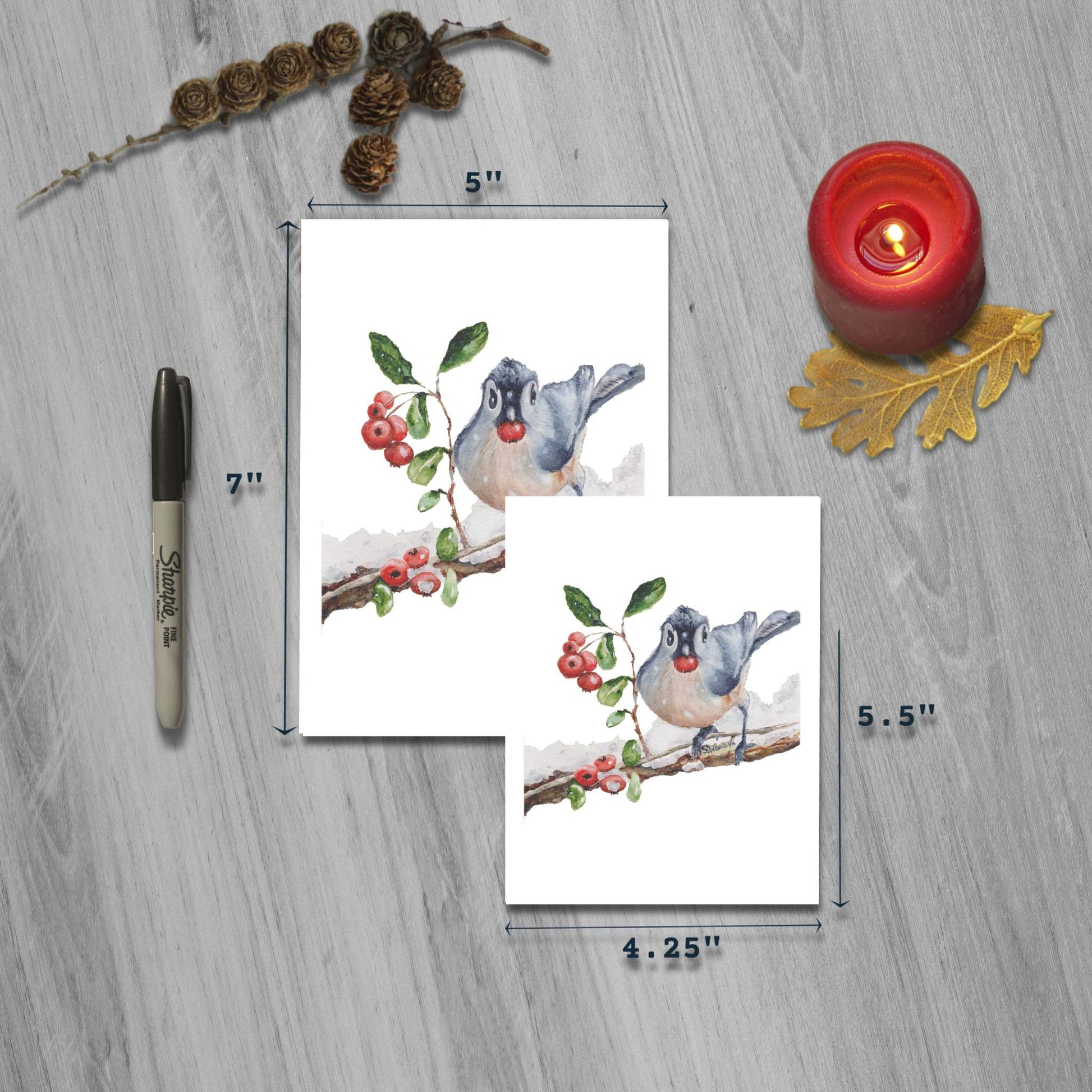Blue jay bird eating berries watercolor art greeting cards in small and large sizes with marker for scale.