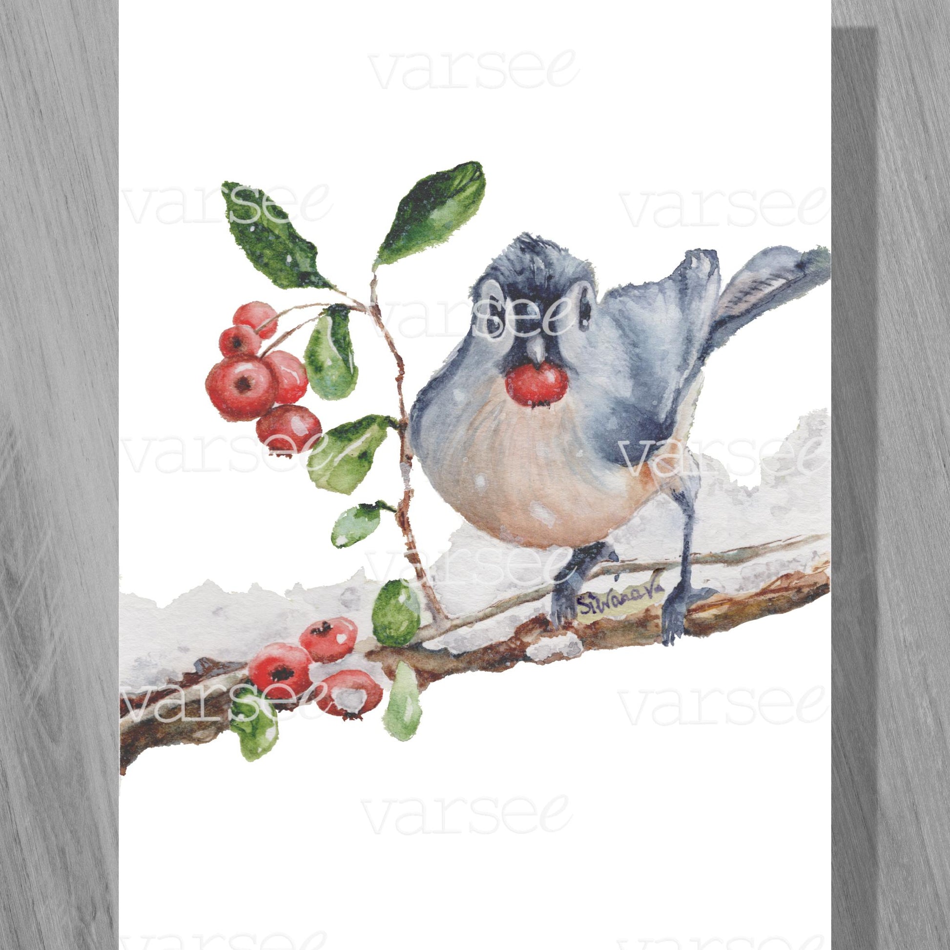 High-resolution scan of an original watercolor painting of a blue jay bird eating a red berry.