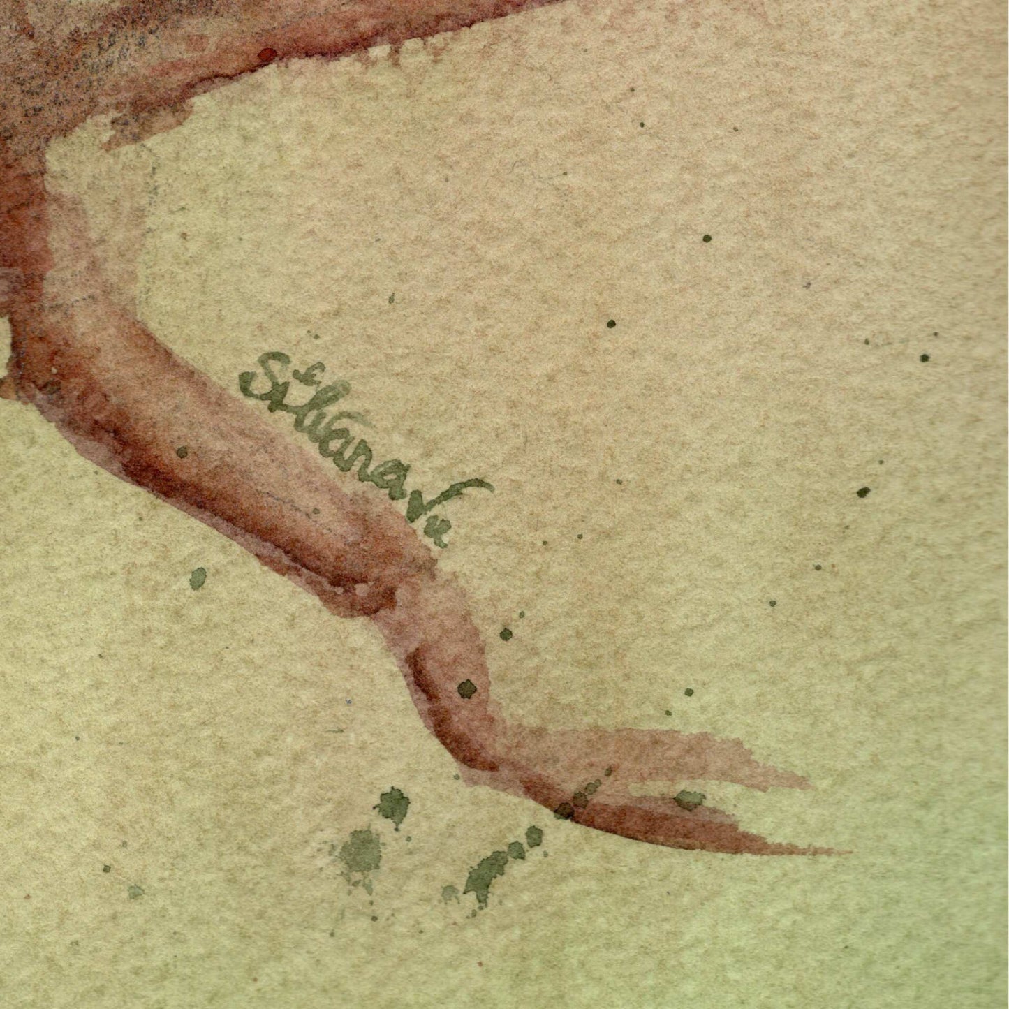 Detail of a branch from the original watercolor painting Branch Dance, with the artist's signature integrated into the branch, by Silvana Varriale of VARsee Art.
