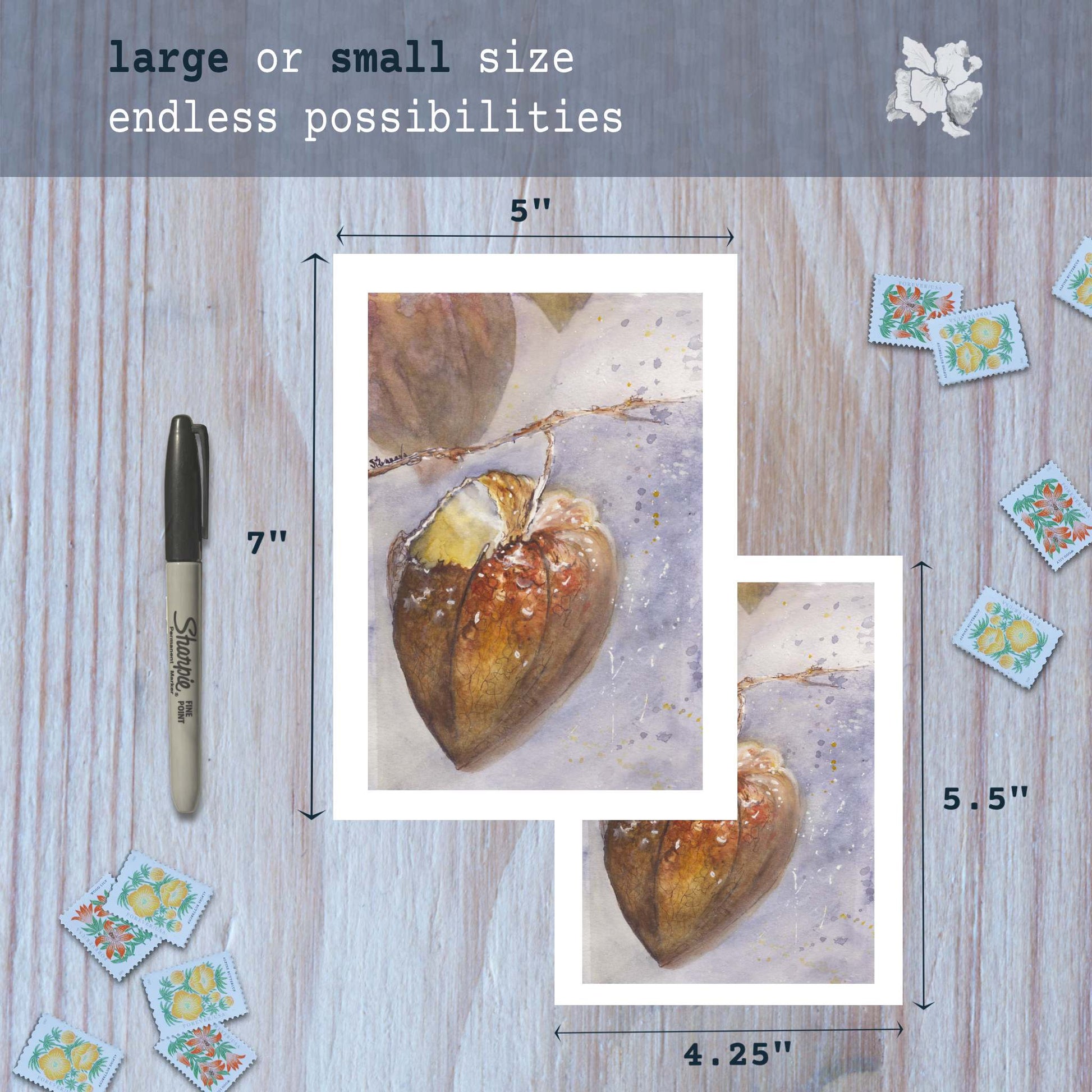 Chinese lantern watercolor greeting cards in small and large sizes with marker for scale.