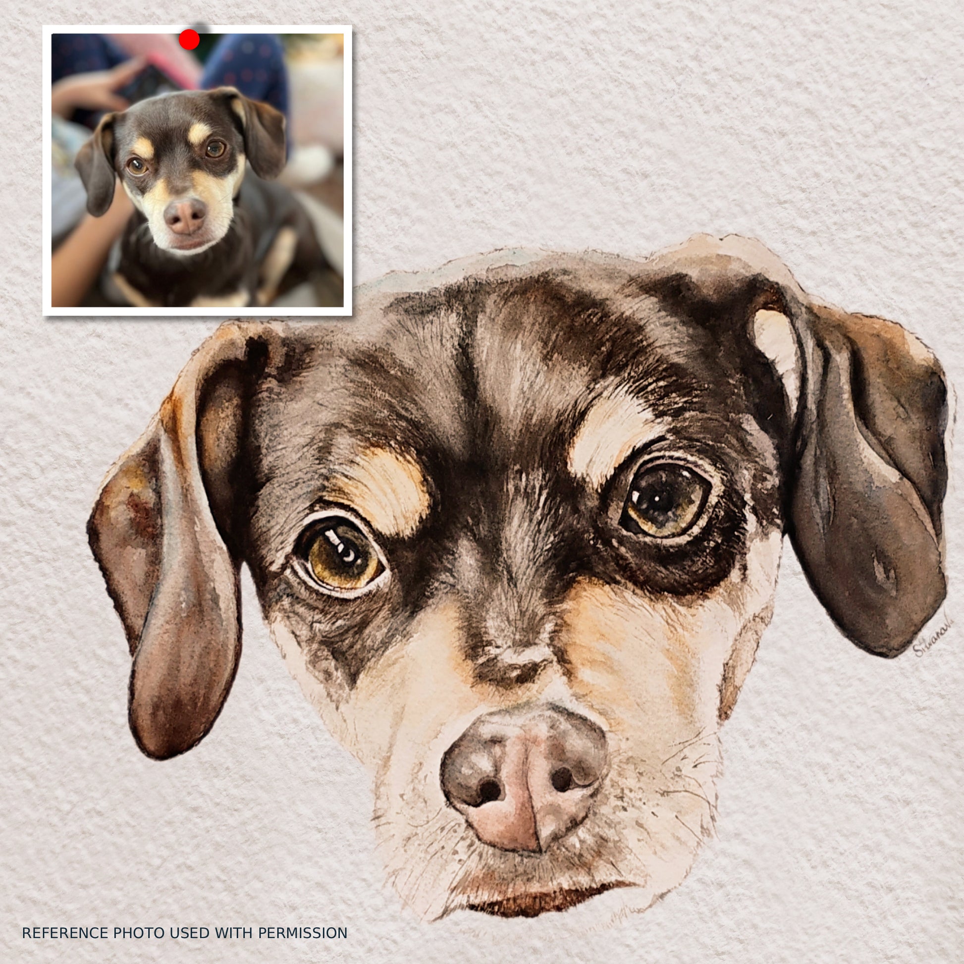 A side-by-side comparison featuring a dog's reference photo and the final watercolor translation by Silvana Varriale. This visual demonstrates how the varsee studio captures a pet’s true character and warmth in a physical original artwork.