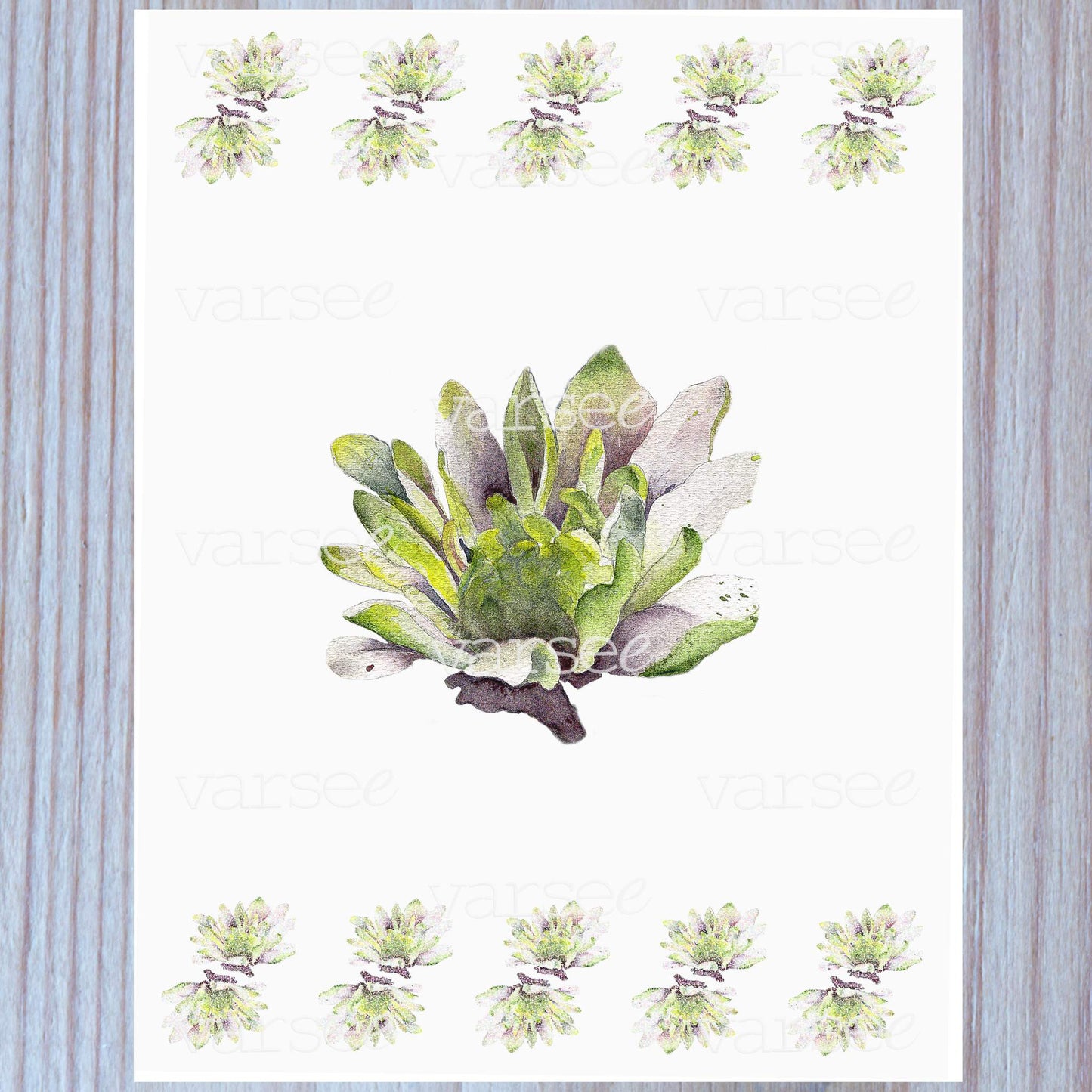 Dahlia original floral design, shown in close-up.