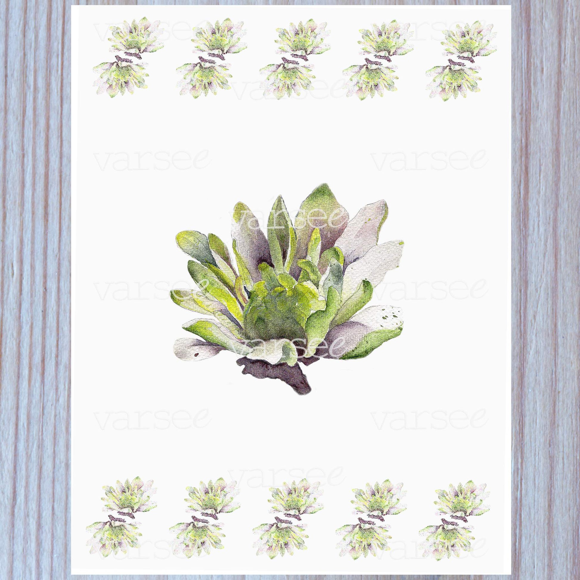 Dahlia original floral design, shown in close-up.