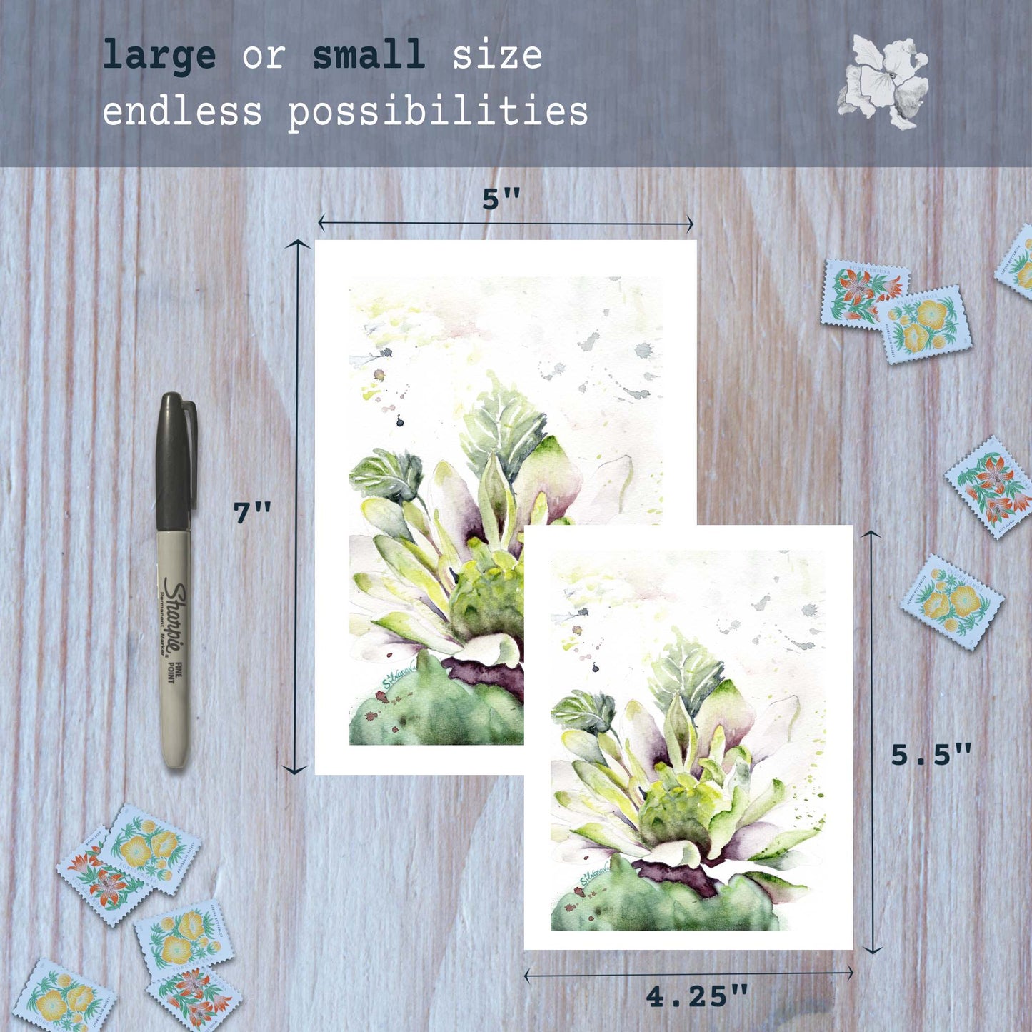 Dahlia watercolor greeting cards in small and large sizes with marker for scale.