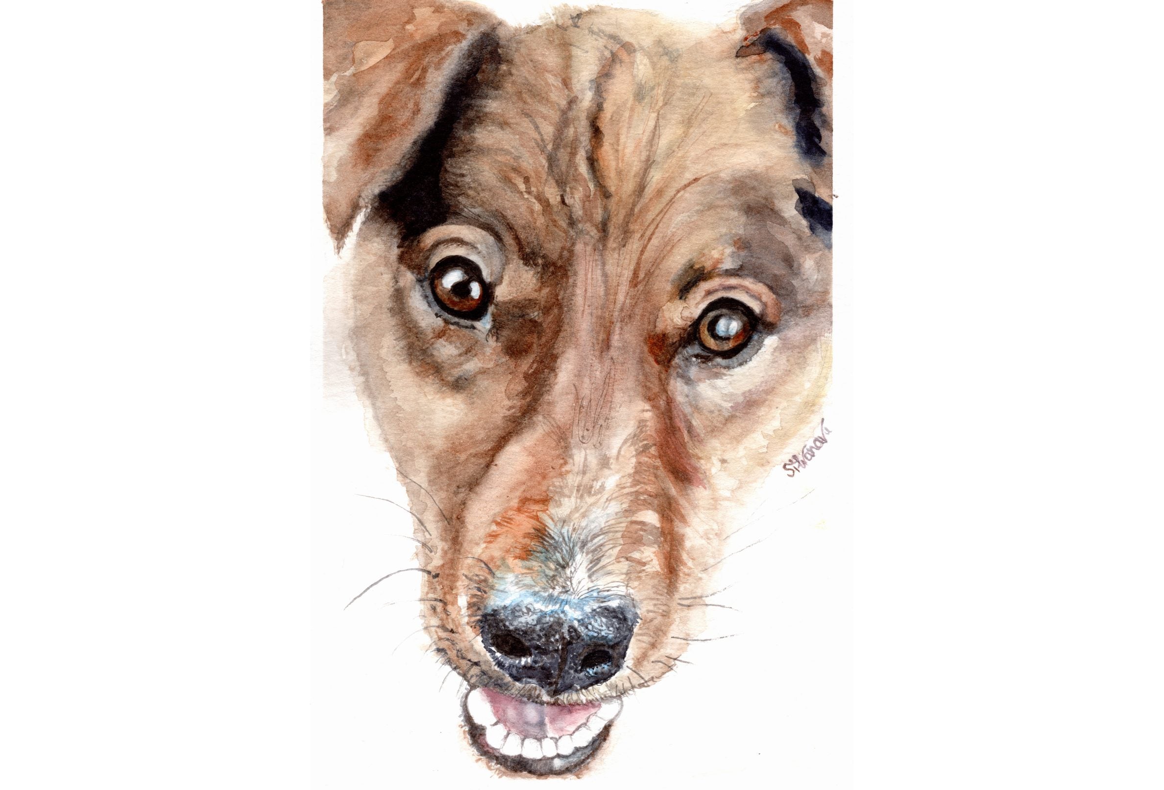 Watercolor portrait of a reddish golden retriever mix, realistic handmade pet portrait by artist Silvana Varriale of VARsee Art