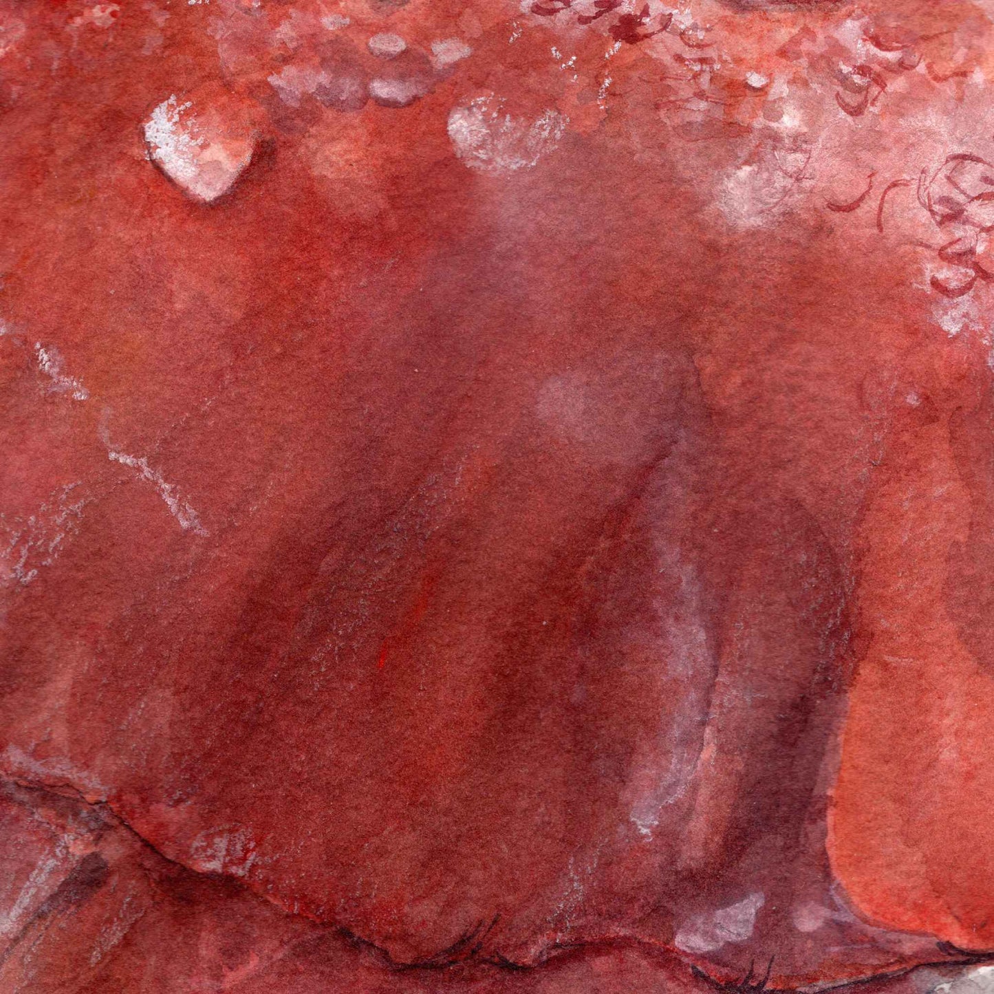 Close-up detail of rain-weighted red poppy petals with visible raindrops, from the original watercolor painting Flowerbed by artist Silvana Varriale of VARsee Art.