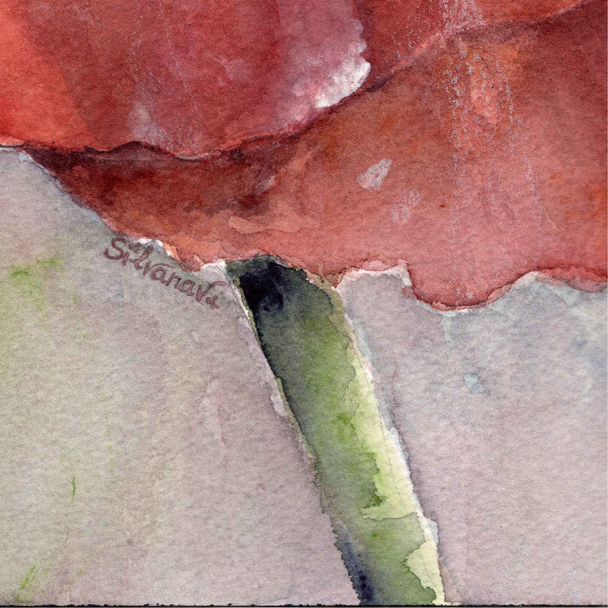 Detail of red poppy petals and stem from the original watercolor painting Flowerbed, with the artist's signature integrated along the stem, by Silvana Varriale of VARsee Art.