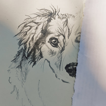 Close-up of a custom pet portrait on drawing paper, showcasing the authentic pencil strokes and artistic texture of Silvana Varriale’s work.