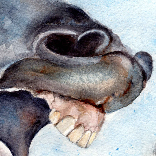 Close-up detail of the horse's nostril and upper teeth, from the original watercolor painting Horse Voice by artist Silvana Varriale of VARsee Art.