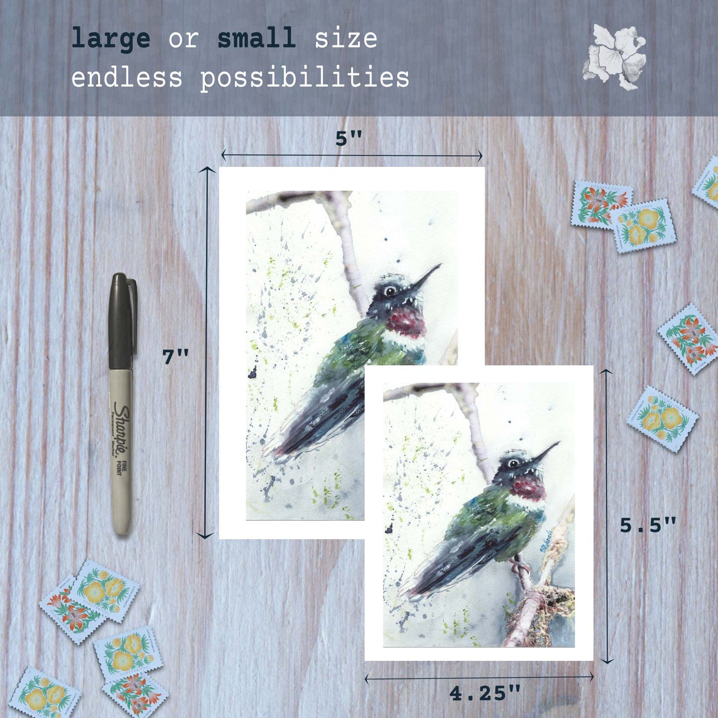 Hummingbird watercolor greeting cards in small and large sizes with marker for scale.
