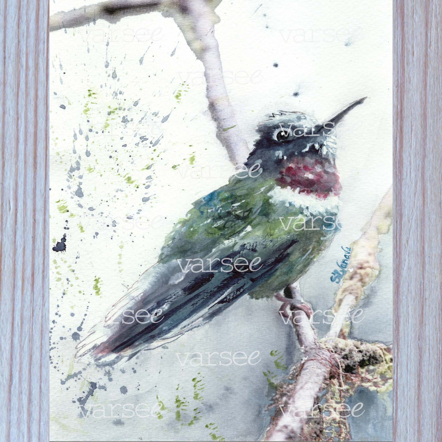 High-resolution scan of an original watercolor painting of a hummingbird.