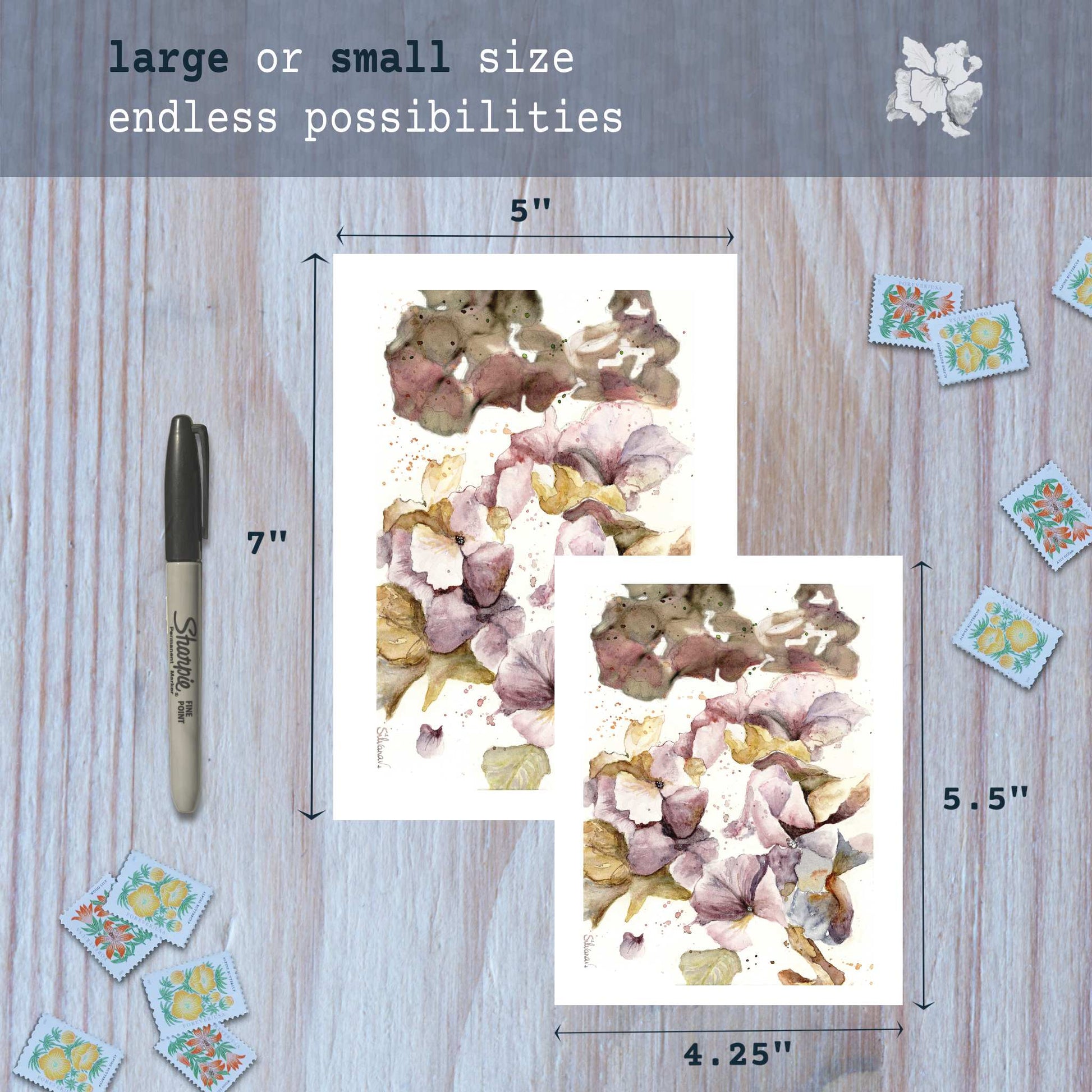 Hydrangea watercolor greeting cards in small and large sizes with marker for scale.
