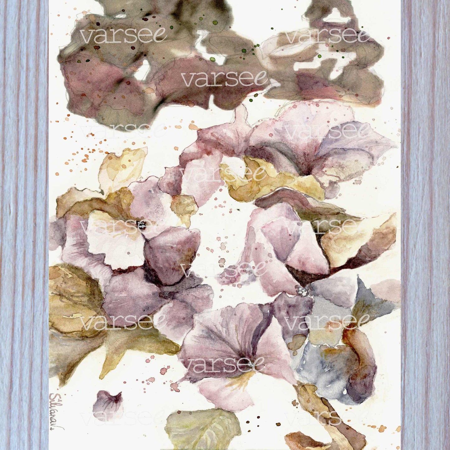 High-resolution scan of an original watercolor painting of an hydrangea. 