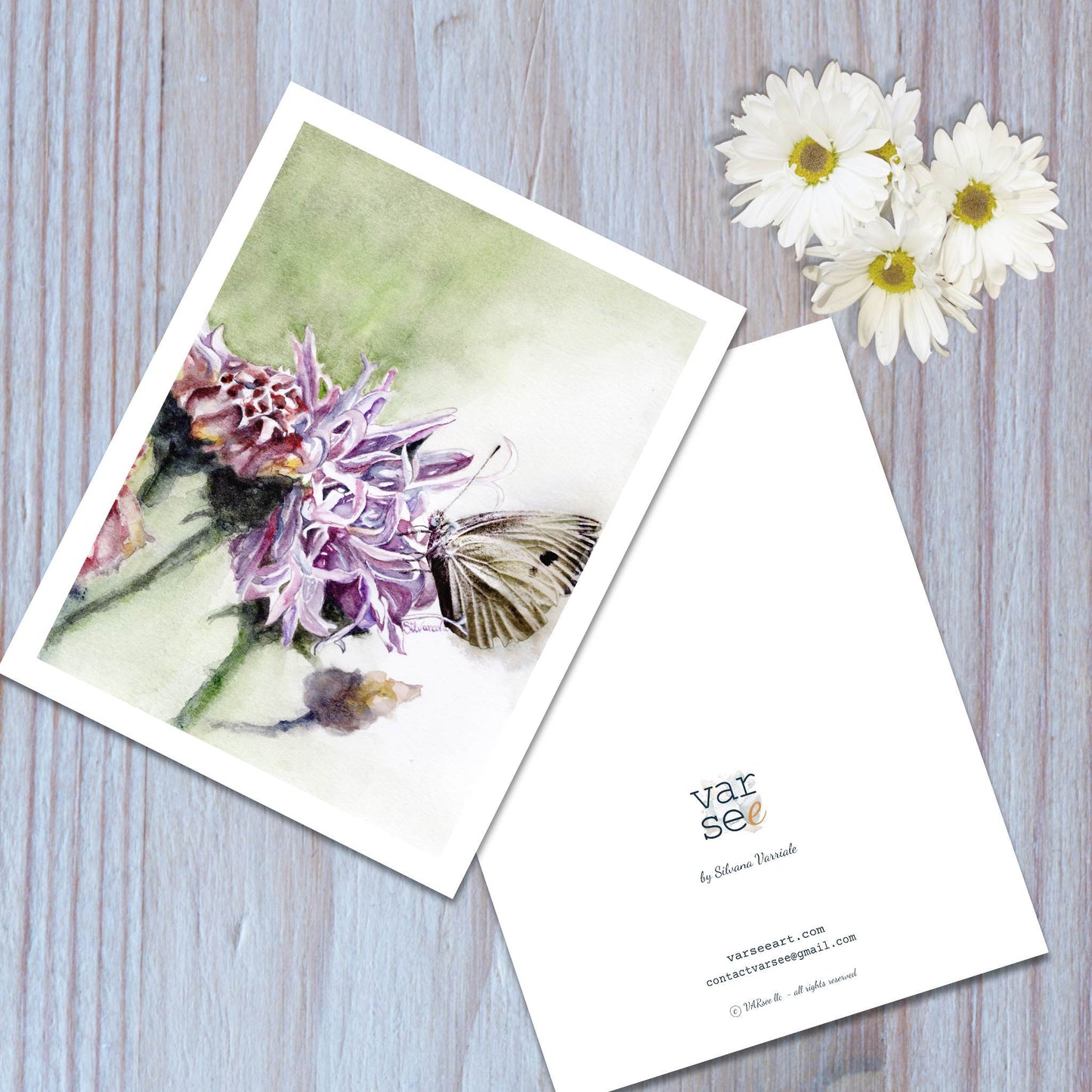 Front and back view of a knapweed flower and cabbage butterfly watercolor art greeting card.
