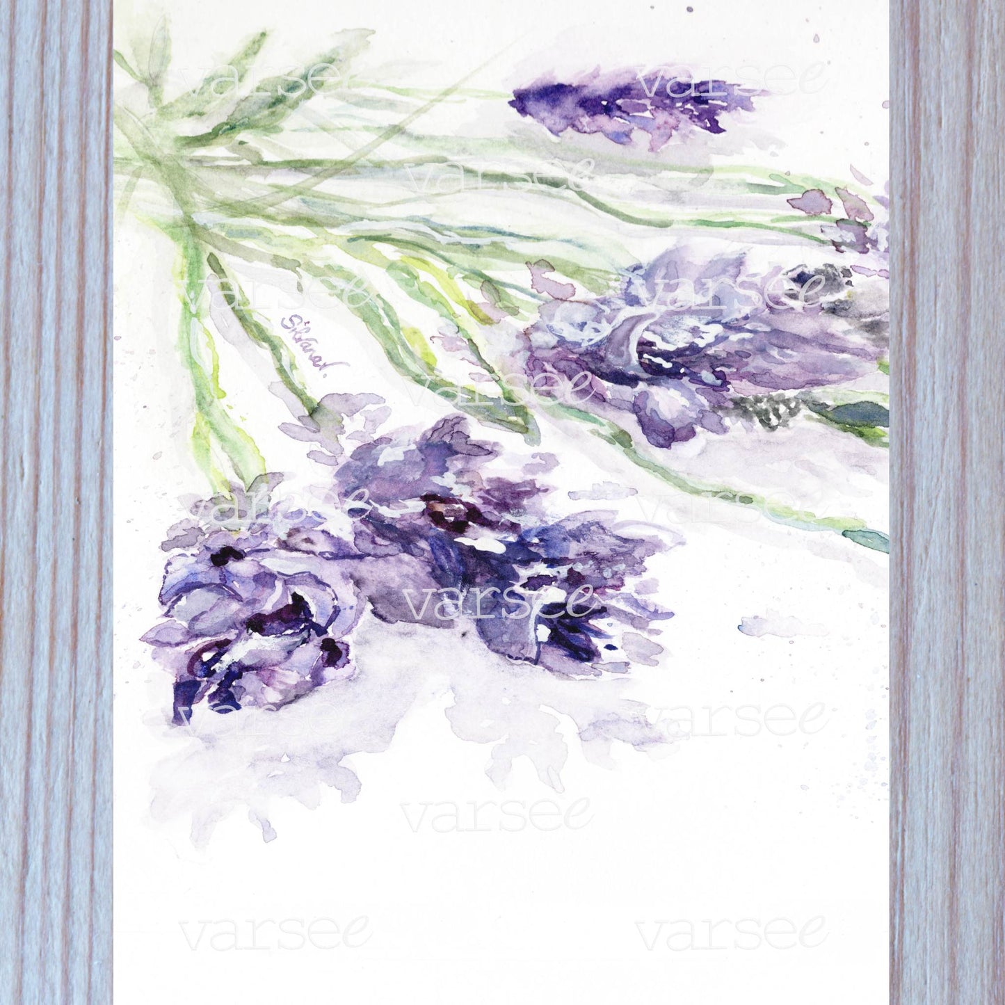 High-resolution scan of an original watercolor painting of lavender sprigs.