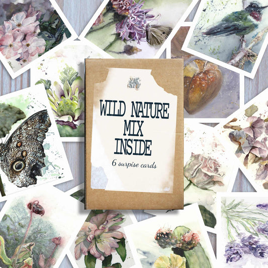 Many botanical watercolor greeting cards neatly fanned out on a table with a cardboard box on top labelled "wild nature mix inside, 6 surprise cards"