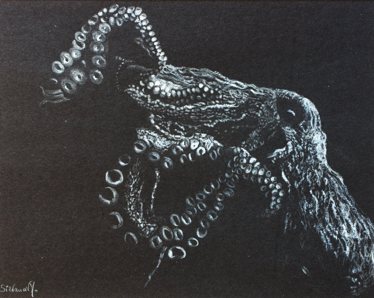 Full body white pencil on black paper portrait of an octopus, detailed handmade animal portrait by artist Silvana Varriale of VARsee Art