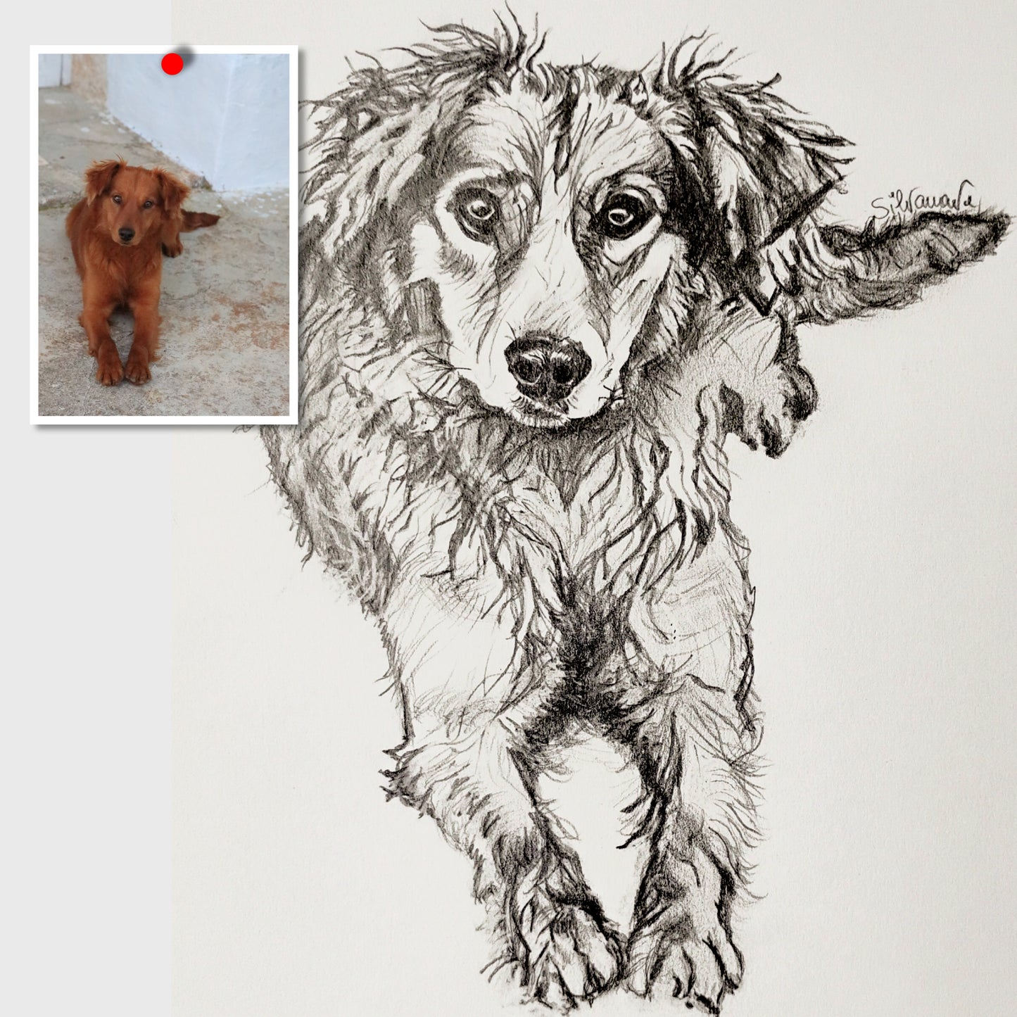 Side-by-side comparison showing a reference photo of a puppy next to the finished custom graphite pencil portrait by Silvana Varriale.