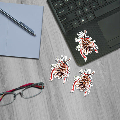 Conifer Beauty Gift Bundle