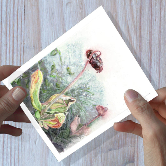 Hands holding a pitcher plant watercolor greeting card, shown on a wooden surface.