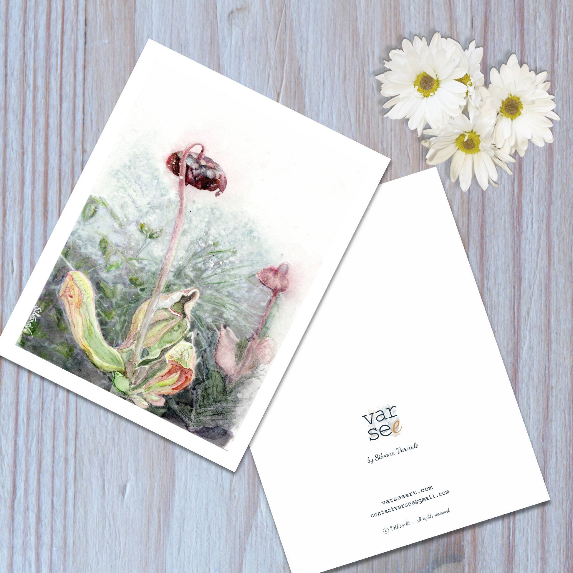 Front and back view of a pitcher flower watercolor art greeting card.