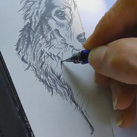 A macro process video showcasing Silvana Varriale meticulously rendering the fine fur textures on the body and paws of a dog portrait. Using sharp graphite pencils, the artist builds layers of realistic depth and shadow, illustrating the technical precision involved in creating a varsee original artwork from a reference photo.