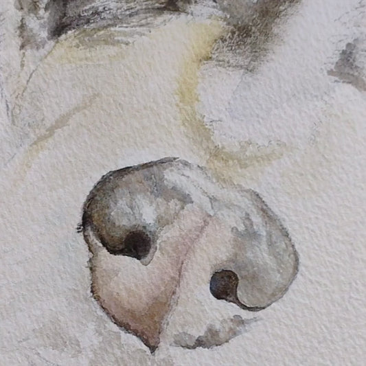 An artist’s-view video of Silvana Varriale painting the realistic, leathery texture of a dog's nose. The footage shows the delicate application of watercolor layers to capture moisture and light reflections, demonstrating the organic, hand-painted technique used for every varsee original artwork commission.