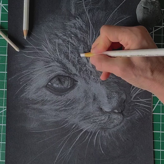 A detailed process video by Silvana Varriale for varsee, capturing the final, high-stakes moments of a feline portrait. The footage shows a white pencil "carving" bright light into black drawing paper to create needle-thin whiskers and luminous fur highlights. The video concludes with the artist signing the original artwork, completing the high-contrast hyper-realistic piece.