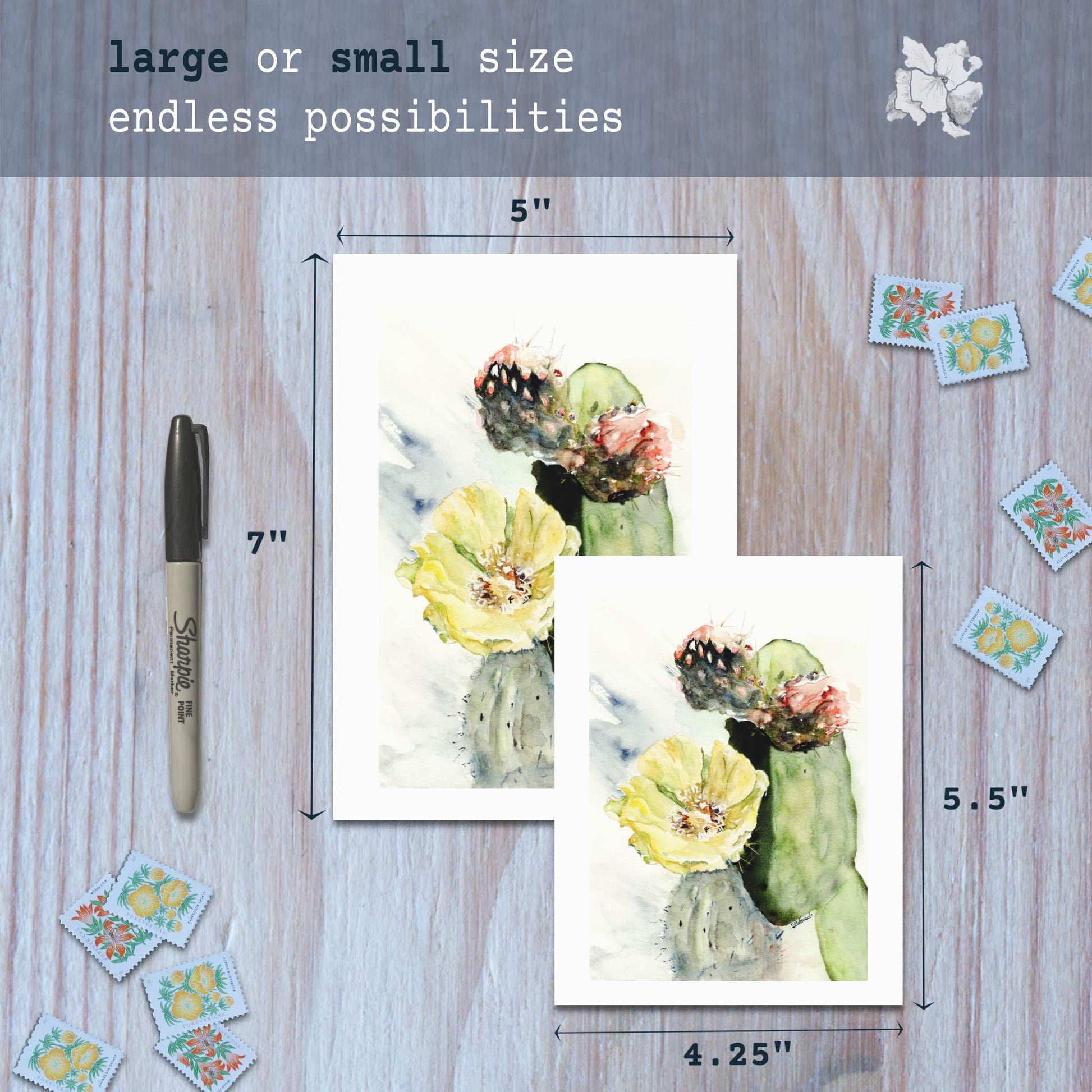 Prickly pear watercolor greeting cards in small and large sizes with marker for scale.