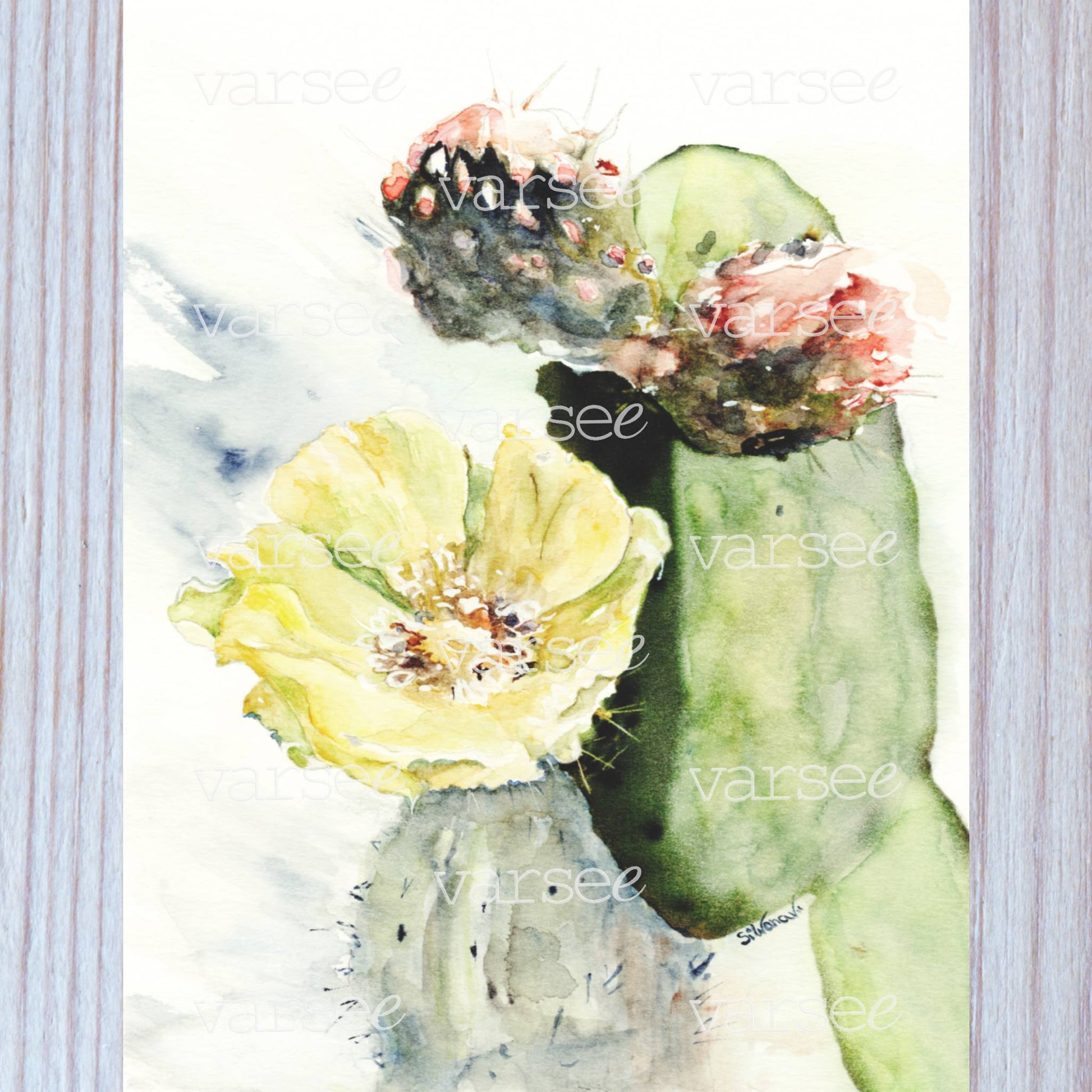 High-resolution scan of an original watercolor painting of a prickly pear.