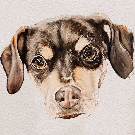 A vibrant, finished watercolor pet portrait of a dog. This original artwork by Silvana Varriale for varsee captures the soulful, expressive eyes and soft fur textures, rendered with fluid brushstrokes on professional paper.