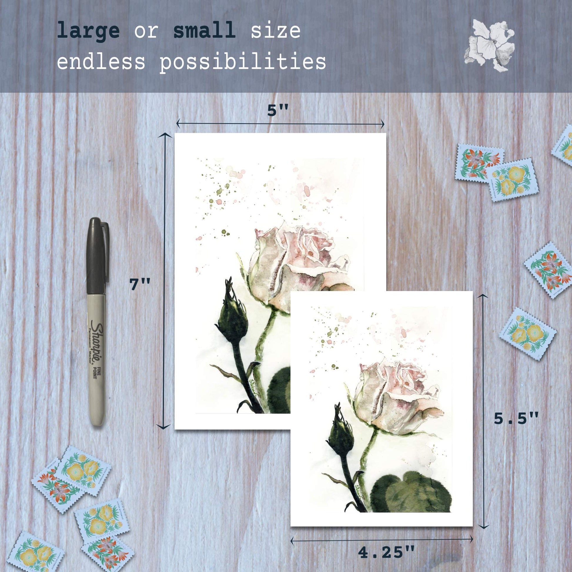 Pink rose watercolor greeting cards in small and large sizes with marker for scale.