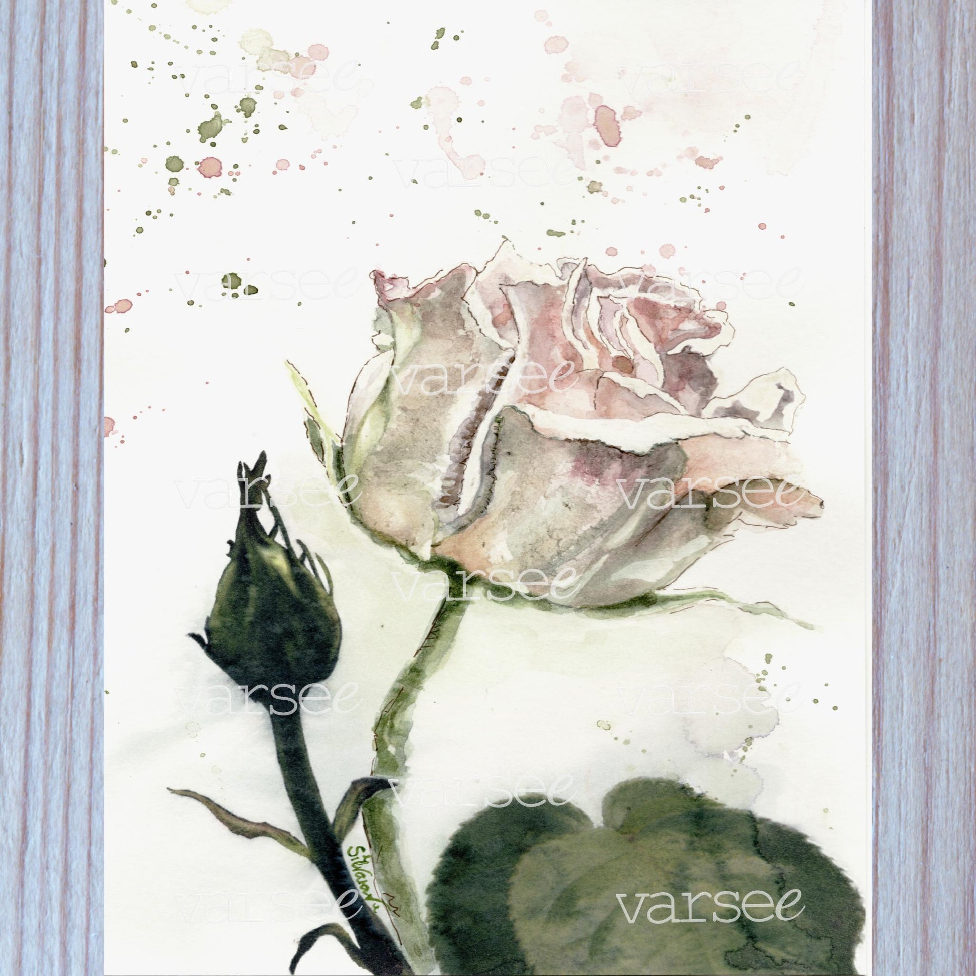 High-resolution scan of an original watercolor painting of a pink rose.