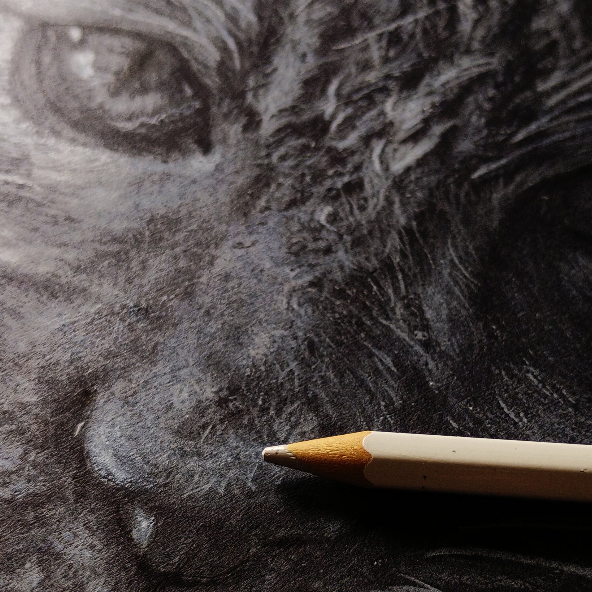 Artist Silvana Varriale’s hand using a white pencil to detail a feline portrait on black paper. This process shot proves the piece is a genuine, hand-drawn original artwork from the varsee studio, highlighting the technical skill required to map light onto a dark surface.