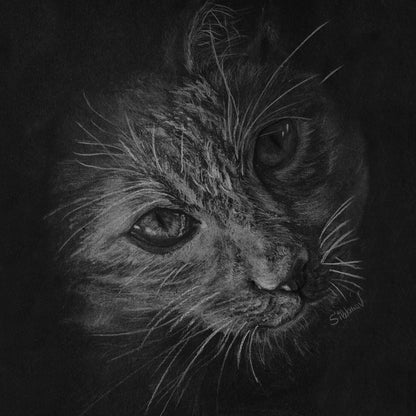 A full-length vertical portrait of a cat’s face by Silvana Varriale for varsee. This original artwork is hand-drawn using white pencil on premium black drawing paper, featuring high-contrast fur textures and a luminous quality achieved by carving light out of the darkness.