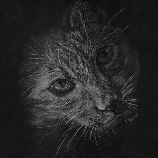 A full-length vertical portrait of a cat’s face by Silvana Varriale for varsee. This original artwork is hand-drawn using white pencil on premium black drawing paper, featuring high-contrast fur textures and a luminous quality achieved by carving light out of the darkness.