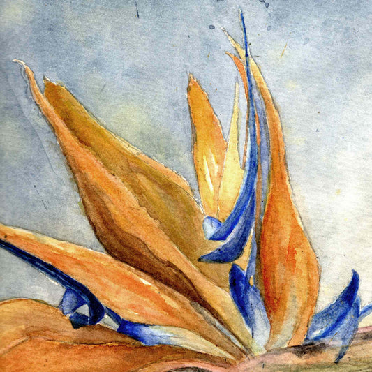 Close-up detail of the bird of paradise flower showing deep dark oranges and rich blues of the petals, from the original watercolor painting Sketching Paradise by artist Silvana Varriale of VARsee Art.
