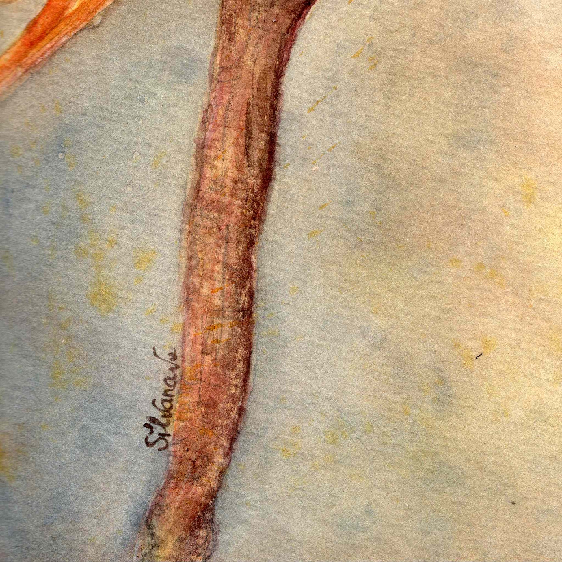 Detail of the bird of paradise flower stem from the original watercolor painting Sketching Paradise, with the artist's signature integrated alongside it, by Silvana Varriale of VARsee Art.
