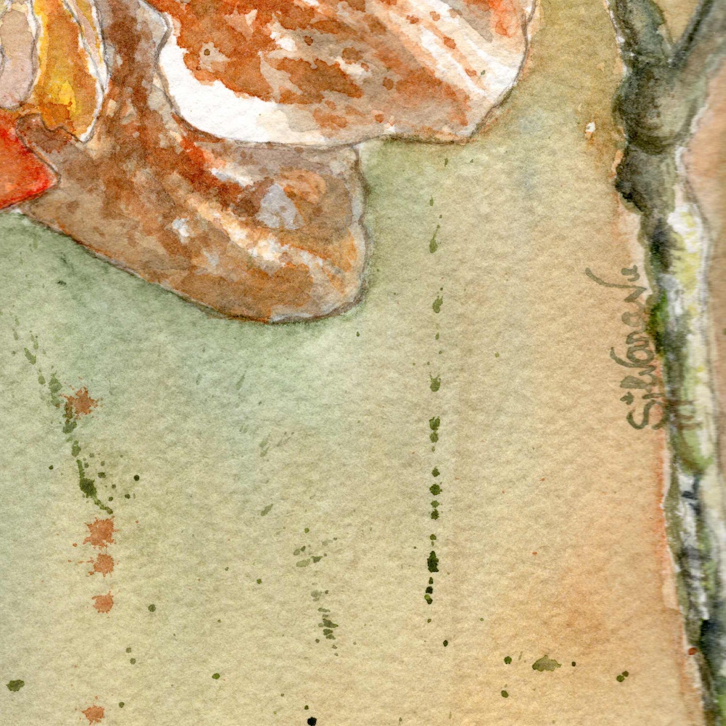 Detail of a flower and stem from the original watercolor painting The Three Sisters, showing the signature of artist Silvana Varriale of VARsee Art.