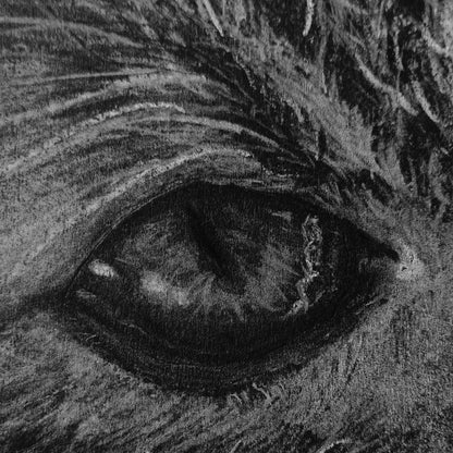 A macro detail shot of a cat's eye from a Silvana Varriale original artwork. The drawing showcases intricate reflections within the pupil and fine, needle-thin fur highlights meticulously rendered with white pencil to create a lifelike, glassy depth.