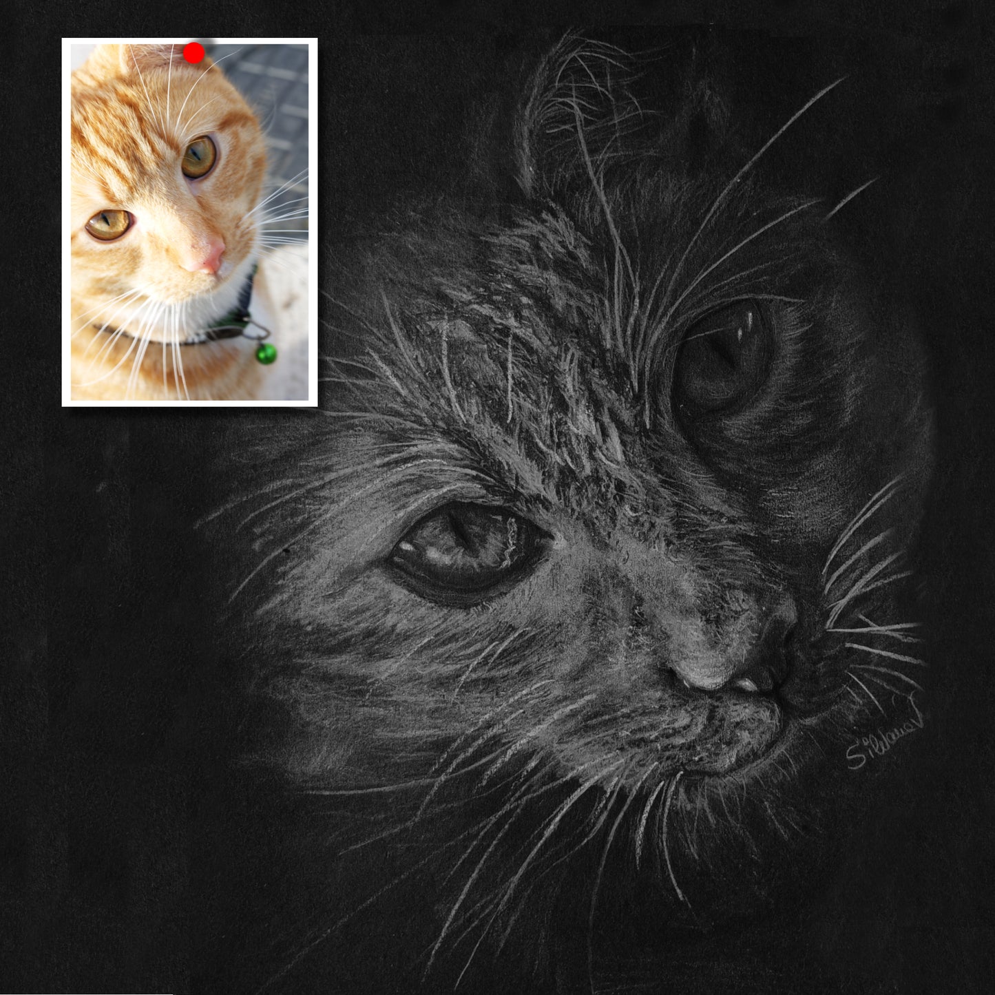 A side-by-side comparison showing a ginger cat reference photograph next to Silvana Varriale’s finished white pencil translation. This image demonstrates how the artist captures the soul of the subject in her original artwork, maintaining accuracy while adding an atmospheric, artistic glow.