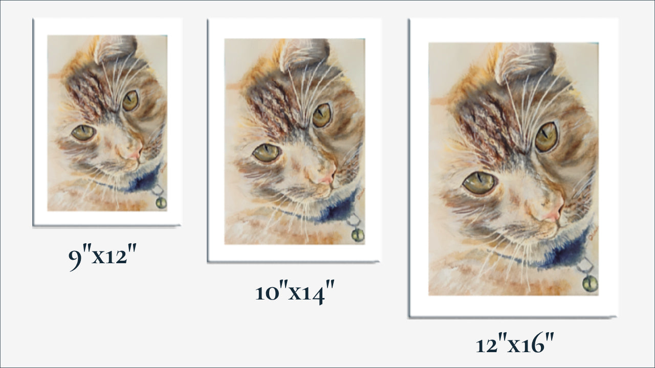 Three sizes for VARsee Art custom pet portraits: 9x12, 10x14, and 12x16 inches, shown as watercolor cat portraits in white mats
